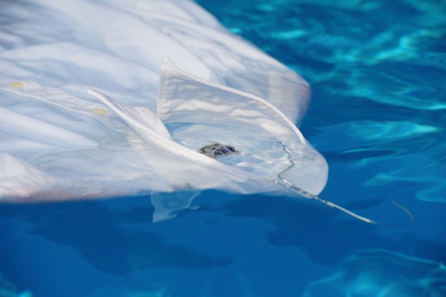 banditbloggers,super finders,nikon,instagram,blog,fred,marvin,rfg,comingsoon,black,white,color,88sqm2 (3)