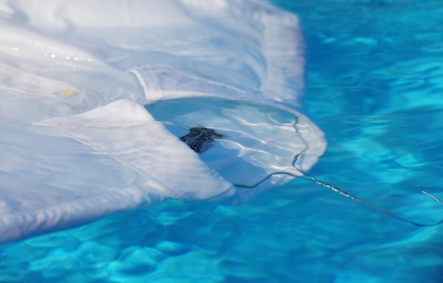 banditbloggers,super finders,nikon,instagram,blog,fred,marvin,rfg,comingsoon,black,white,color,88sqm8 (3)